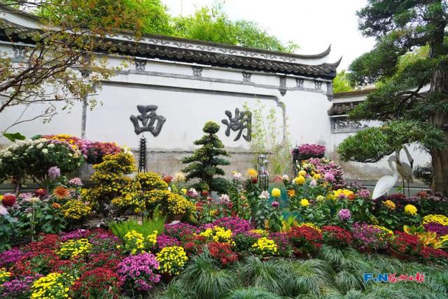 周末去哪玩？今起20天！福州人快冲！