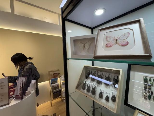 北京的这些“小而美”，别错过了！