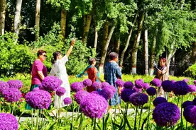 旅居享老，老人们为何选择来宁夏图片