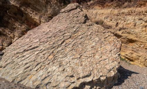 来辽宁“寻宝”，捡石头路线都给你摸清楚儿的