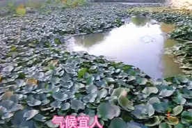 寻找山东最美大学|山东外事职业大学刘钰宸：《山外青山楼外楼》图片