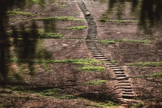 锦绣天府·安逸四川｜厚植生态本底赋能康养之廊