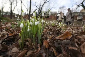 （外代二线）莫斯科天气温暖图片