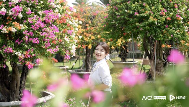 家门口的新佛山丨沿着彩虹河堤，“穿越”岭南文化精致小城