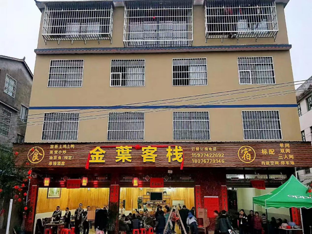 千年银杏韵，金黄满地诗，金色海洋游玩攻略来了！