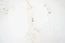 家里墙上一旦出现这种小黑点，身体多个部位要遭殃！快看看你家有没有图片