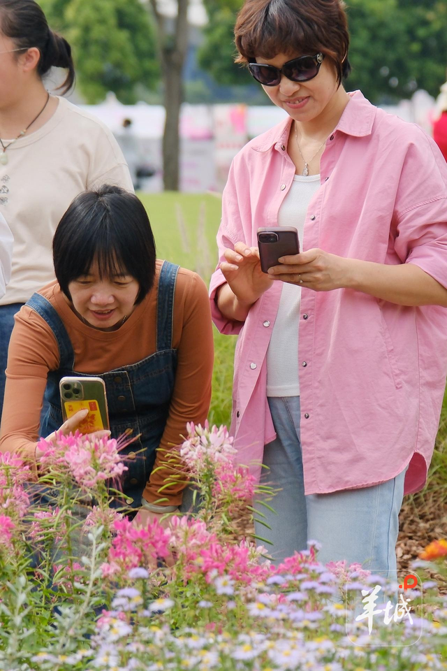 秋明拍花｜名副其实的“花城”：人在画中游，笑从花畔生