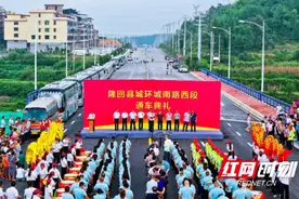 隆回县三阁司镇：苦干实干抓项目，助力营商环境持续优化图片
