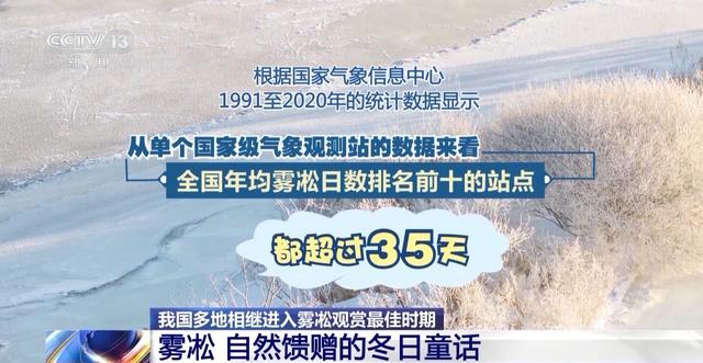 从冬日童话到四季可赏 科技让雾凇美景不再“可遇不可求”