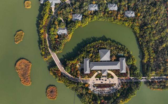 美丽中国丨塞上湖城秋意浓