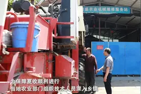 陕西岐山：47余万亩小麦成熟 多举措保夏粮丰收图片