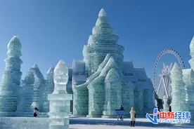 外语导游的冰雪游旺季：“有人俩月赚8万元”图片