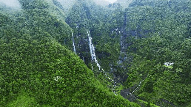 什么！毕节这里也上电视了？
