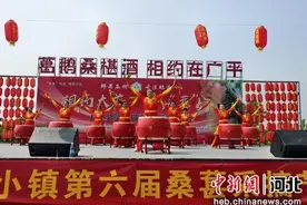 河北广平：桑葚采摘正当时图片