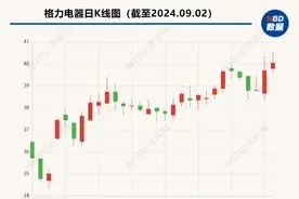 透视格力电器2024年中期业绩：第二季度营收同比微有下滑  多元化业务虽有进步但空调收入占比提升图片