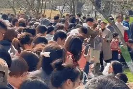 就在今天，西湖边“顶流”回归！全是人人人人，根本没地方落脚，被推着往前走......最新提醒来了图片