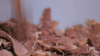 洛阳这些地方值得反复去，反复反复去... ...