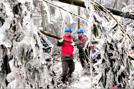 浴“雪”奋战护平安——咸宁市奋力迎战低温雨雪冰冻天气图片