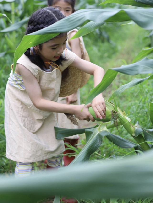 周末就来青白江！又研学又度假，安排！