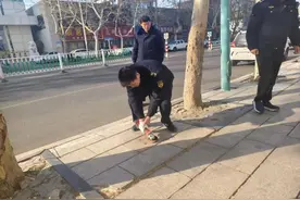 潍坊市潍城区：城管拔除“地刺” 守护市民脚下安全图片