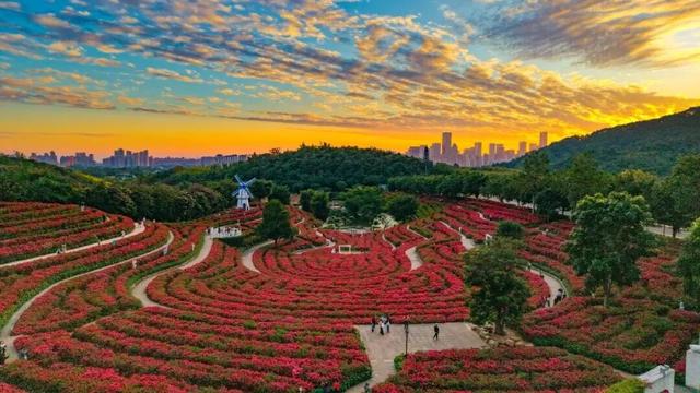 南宁冬日“充电”之旅！让温暖和美景把能量条加满