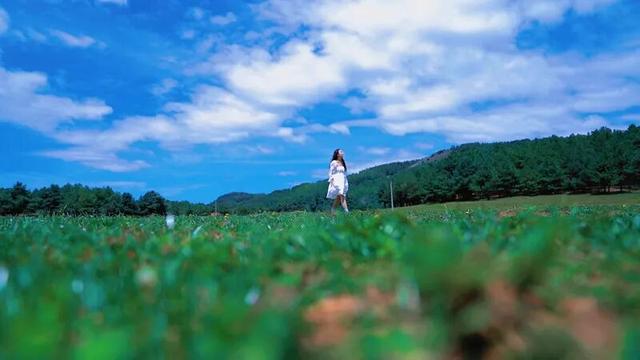 来盘龙大哨森林，我“氧”你啊！