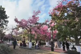 泉州新晋热门打卡地曝光！你去过了吗？图片