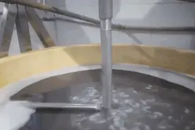 “保水”虾仁，磷酸盐含量严重超标！“3·15”晚会曝光图片