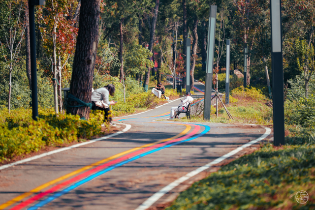 漫步彩虹、栈道追风，东湖徒步新线路美翻了！