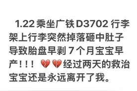 孕妇动车上被行李砸中致孩子早产离世，当事人：准备起诉图片