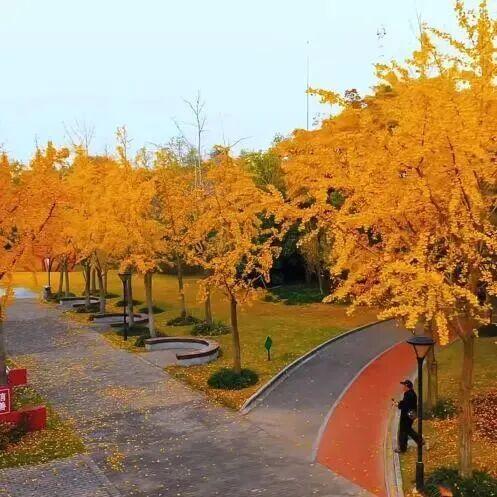 这些出片圣地，人少景美速收藏！