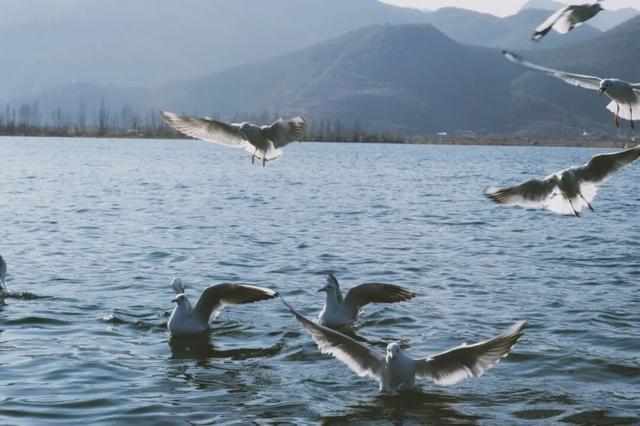 优惠福利 | 冬游泸沽湖门票政策发布！免费/五折优惠看这里→