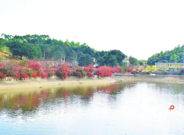 云浮市旅游发展大会召开，着力打造这五条主题旅游线路