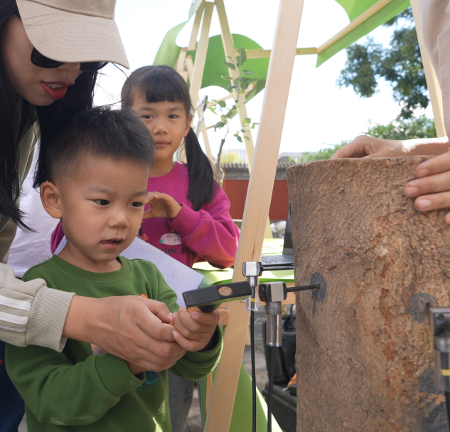 北京十六区，区区有“树王”！古树科普宣传周活动将启动