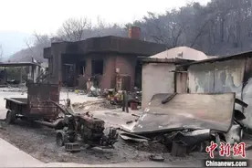 火线蔓延数公里，韩国山火已致28人死亡！图片