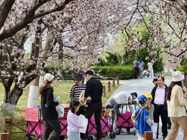 “这里是章丘！”清明假期游客“井喷”，章丘区重点景区接待游客超14万人次