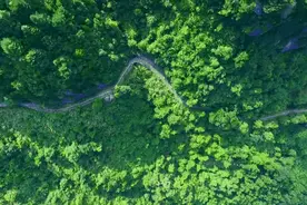 罗宁古官道这个路段扮靓焕新，相约走起！图片