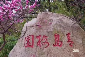 免费、5折！青岛三大景区推出定向优惠政策，速戳了解图片