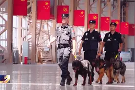 “汪汪队职业技能大赛”开赛 10大品种警犬同场竞技各显神通图片
