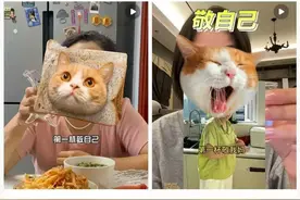 短视频里，为什么都在“敬自己”？| 睡前聊一会儿图片