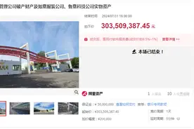 如意集团实控人多项资产遭拍卖 神秘买家3.04亿摘牌图片