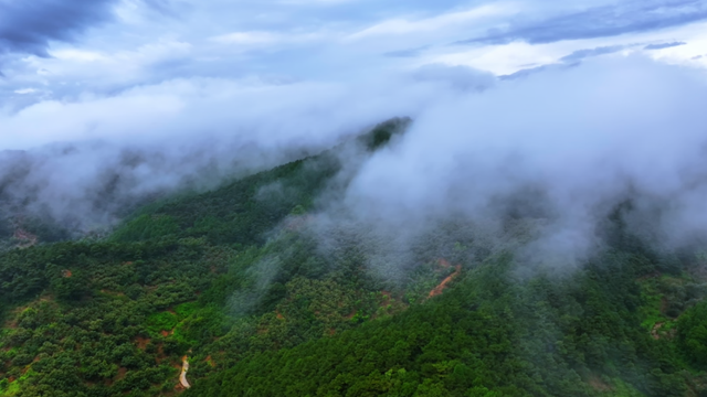 云深知何处·遇见清东陵