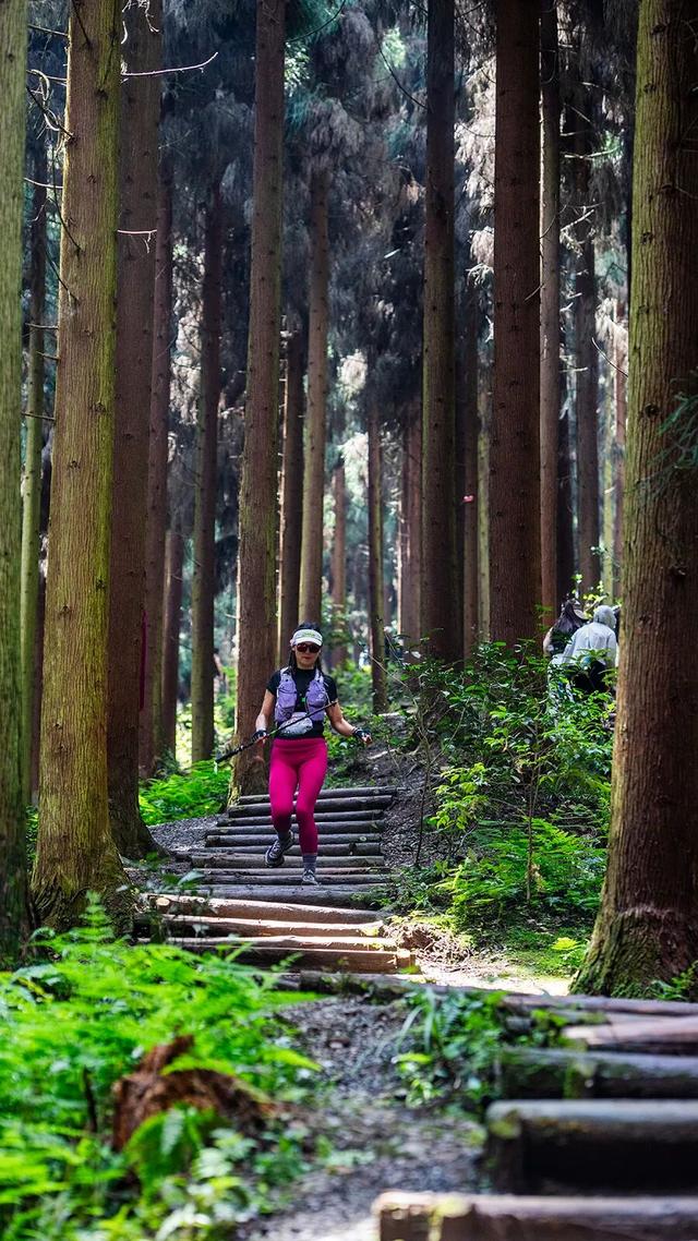不上班，就上山！