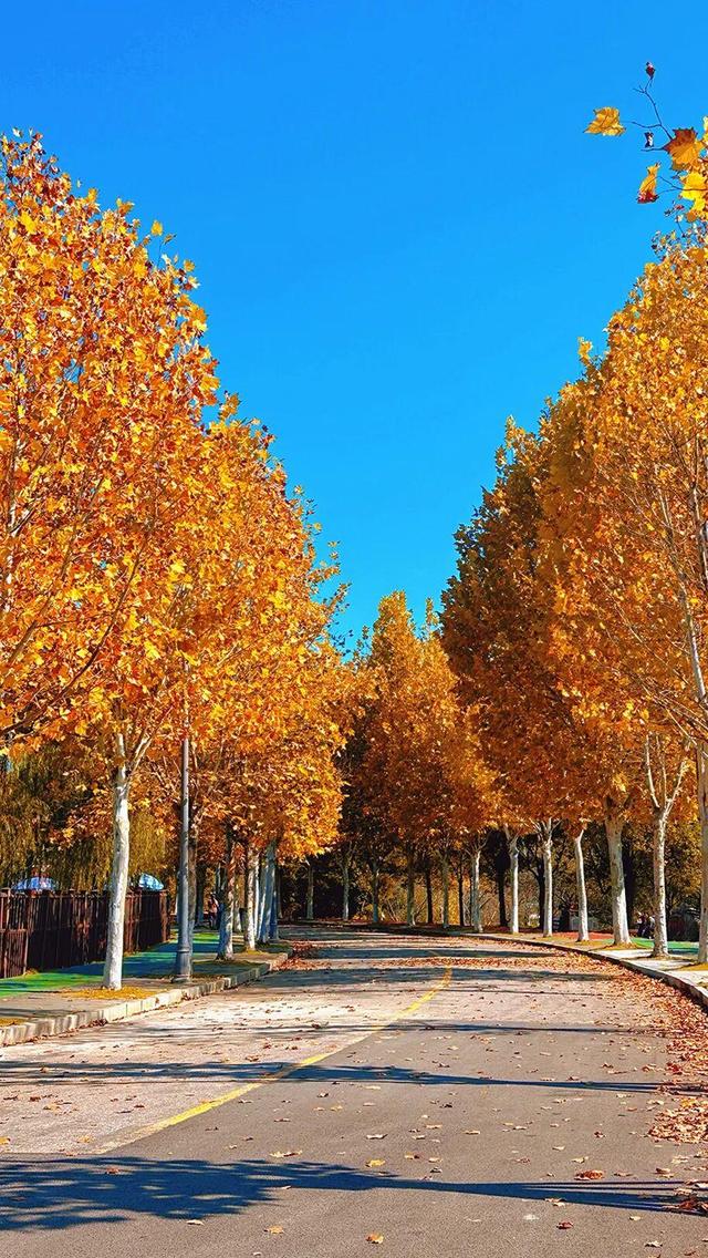 娄底：藏不住的诗意冬景，每帧都美到“心巴”上～