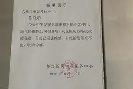 极目帮办|武昌一小区电梯频发故障，居民进出“心慌慌”，社区回应图片