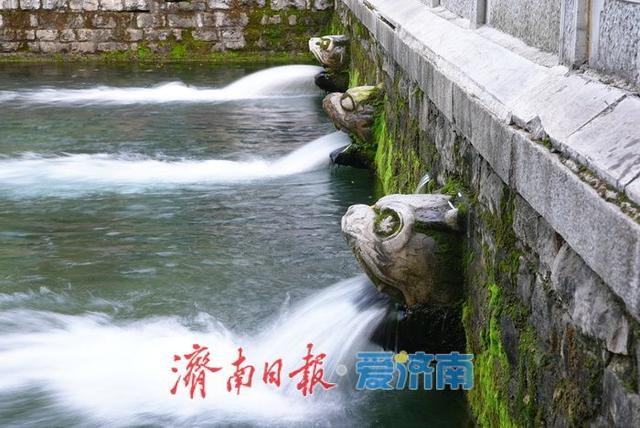 水位升高 黑虎泉池壁上再现新“喷口”