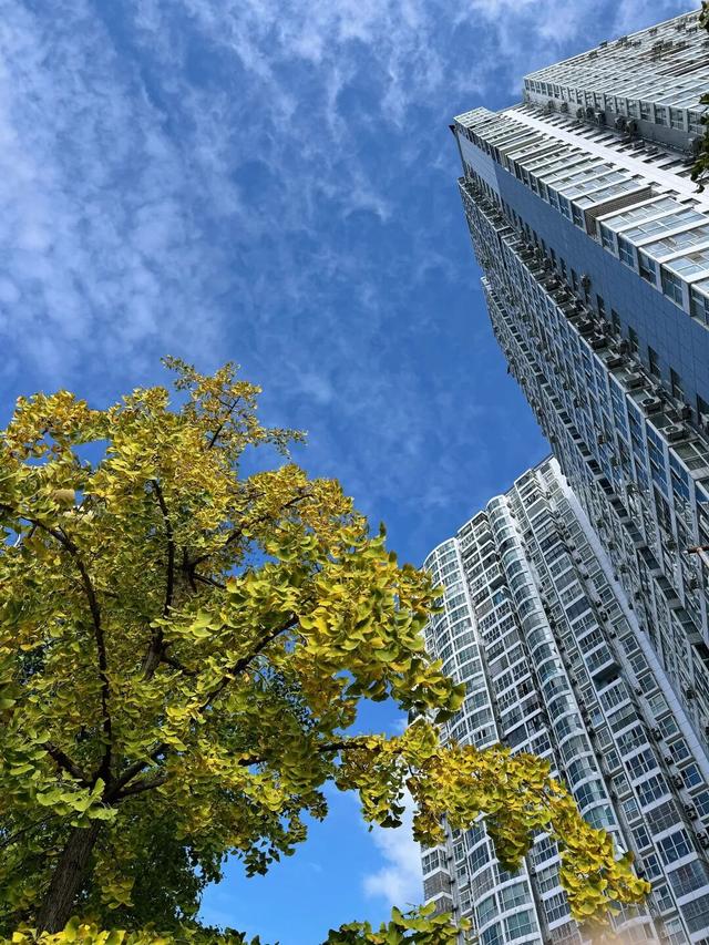 冬｜把时光染成斑斓诗行～