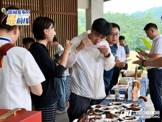 一个词形容乐山？“活力中国调研行”采访团这样说｜发布会观察