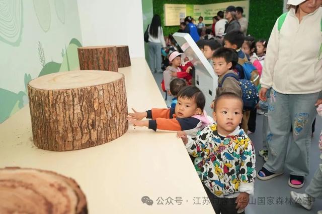 句容的外面是什么？