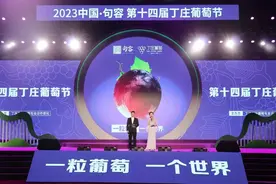 “葡”写丰收 “萄”醉丁庄｜葡萄将成为这个夏天最美好的回忆~图片